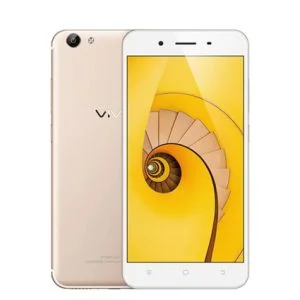Y65